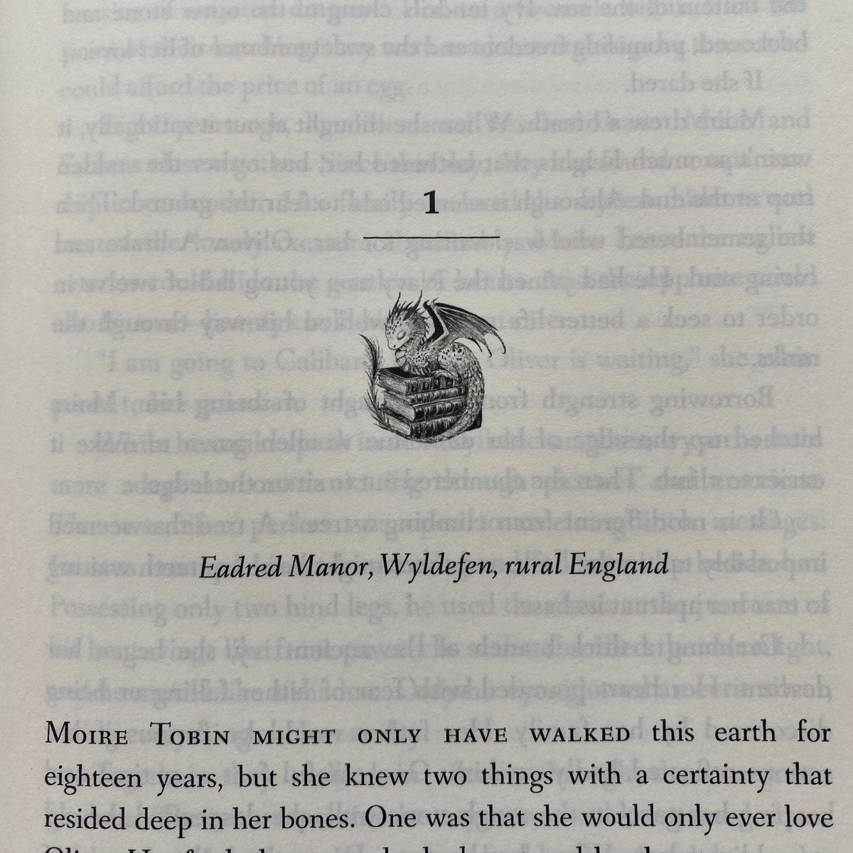 Chapter one of Constancy, opening with Clipper the dragon asleep above the text