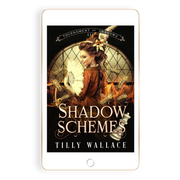 Shadow Schemes